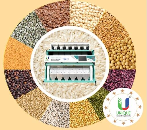 Types of Color Sorting Machines