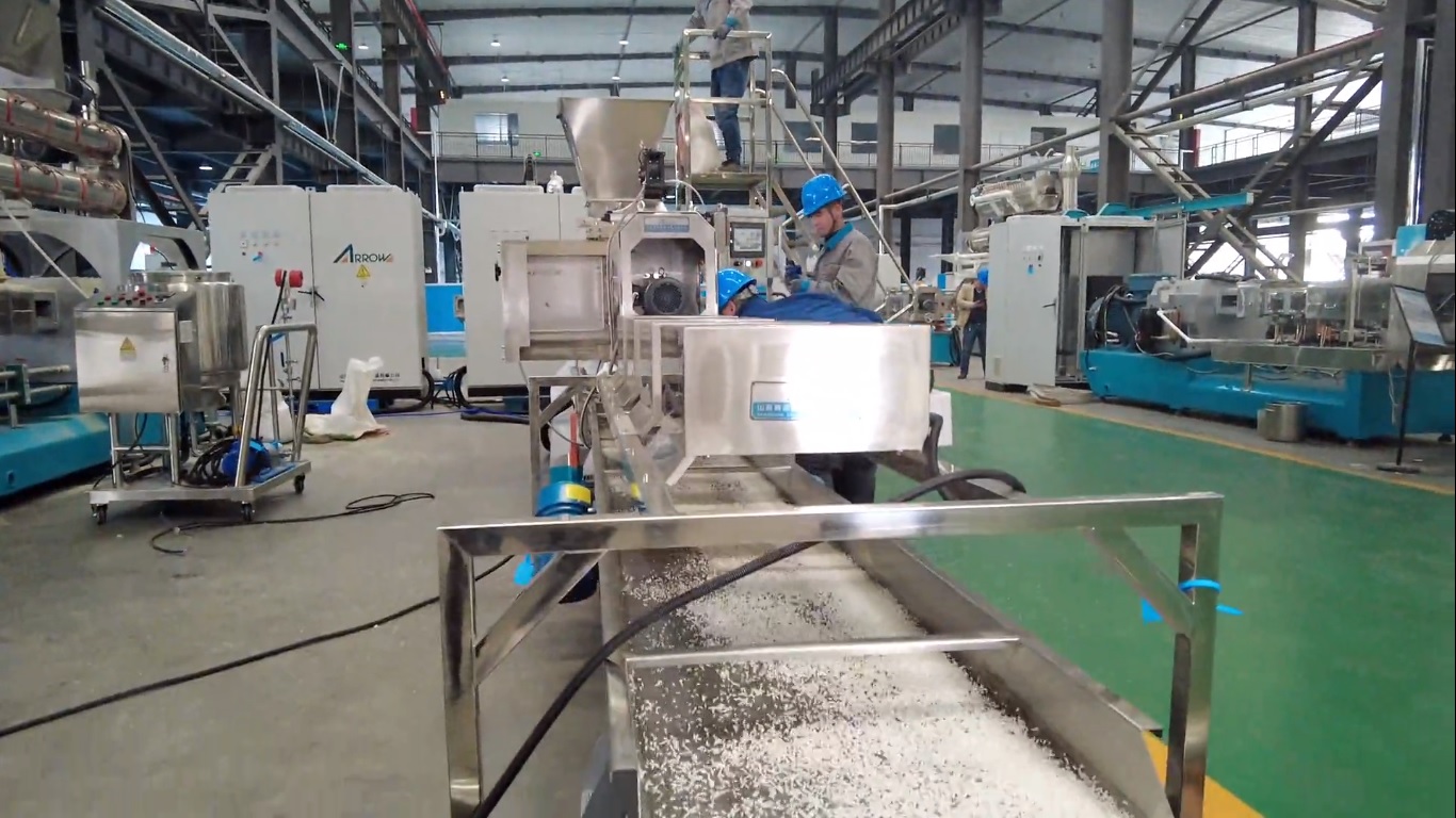 Empowering Health: Rice Fortification’s Role in Eradicating Vitamin and Mineral Deficiencies in Women and Children