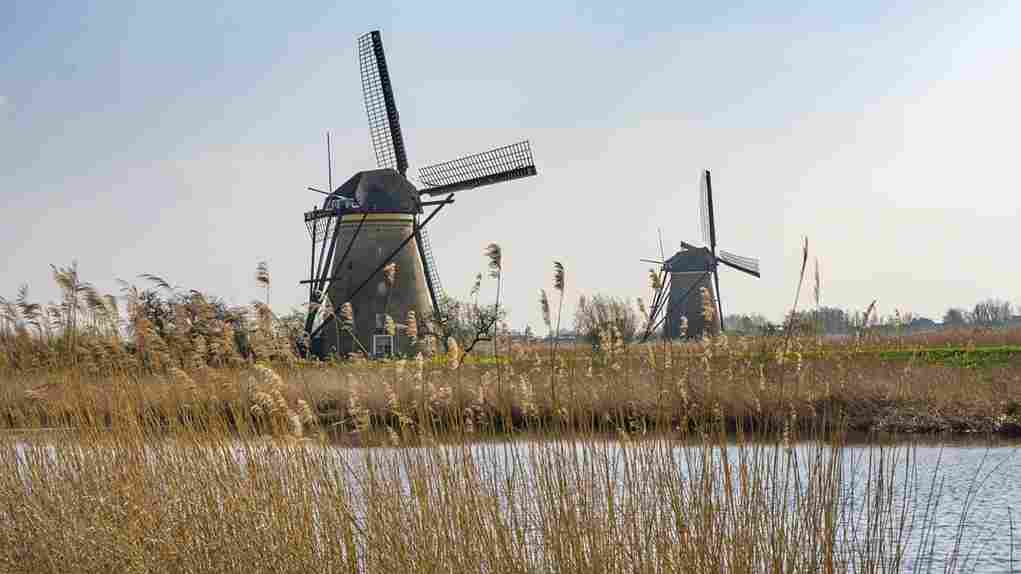 Expert Tips for Maintaining and Optimizing Your Rice Mill Fabrication Equipment