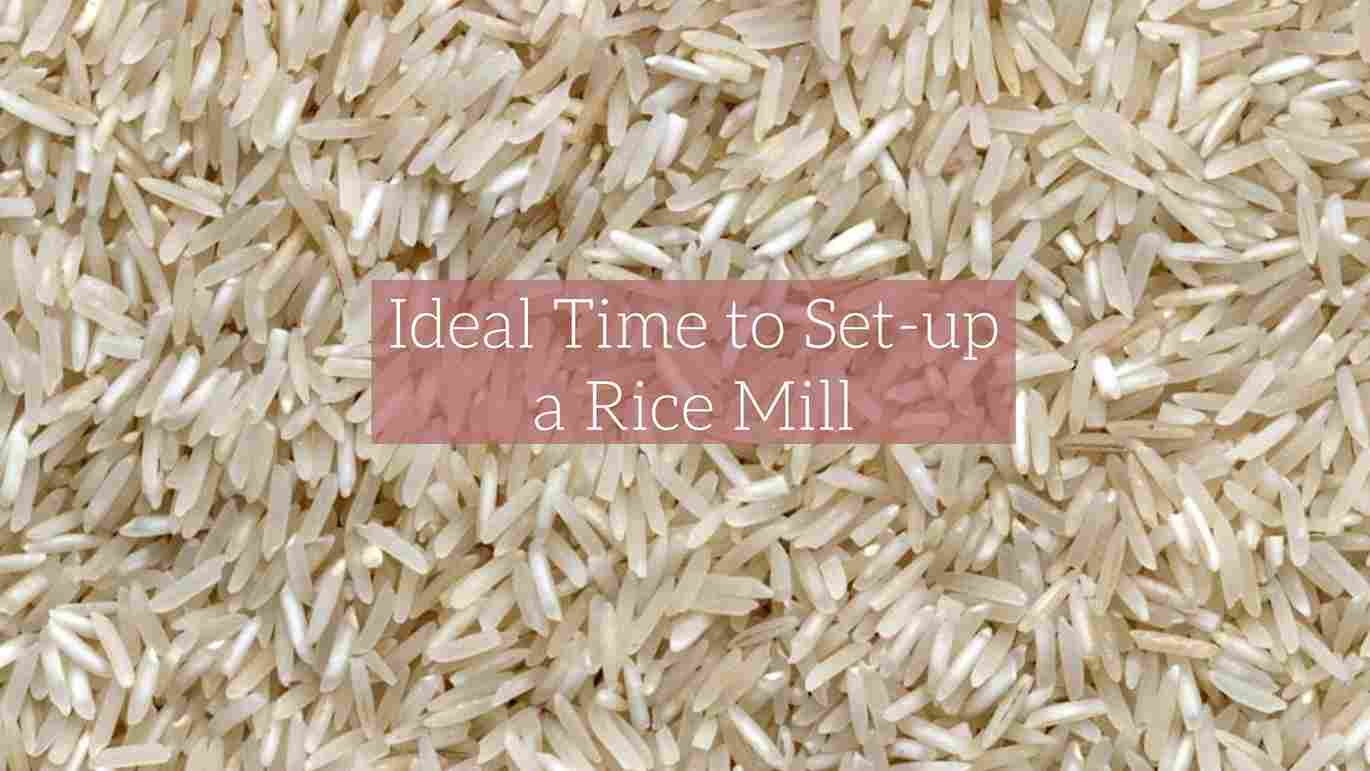 Ideal Time to Set-up a Rice Mill