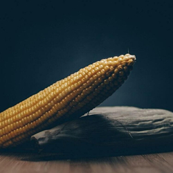 Maize