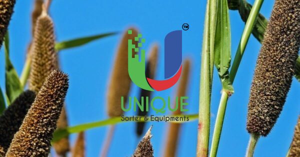 How High-Quality Equipment Ensures Optimal Results In Crop Processing