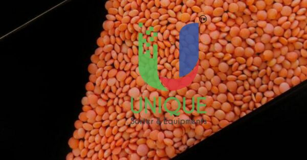 Impact of Optical Sorting Technology on Pulse Harvest Quality