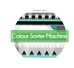 Color Sorter Machines