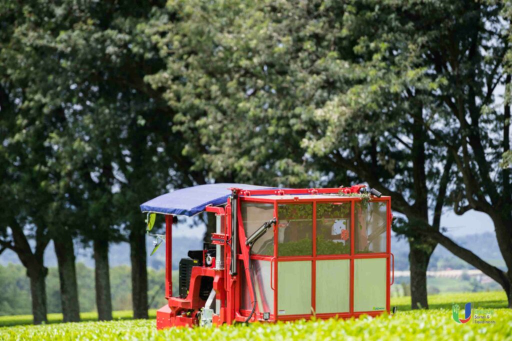 How does a Tea Color Sorter Machine contribute to the tea industry in India?